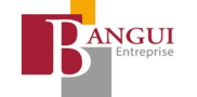 Bangui Entreprise
